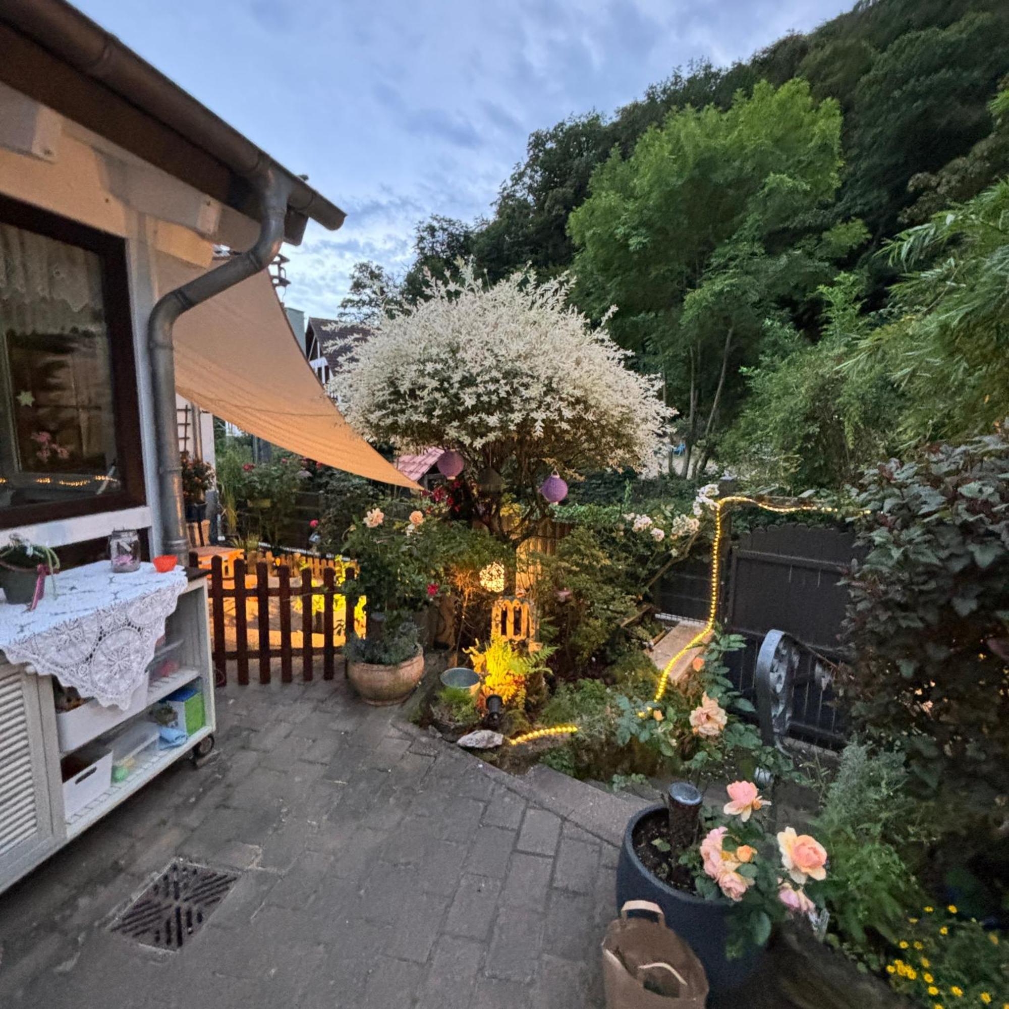 Ferienwohnung Im Morgenbachtal Trechtingshausen Exteriör bild