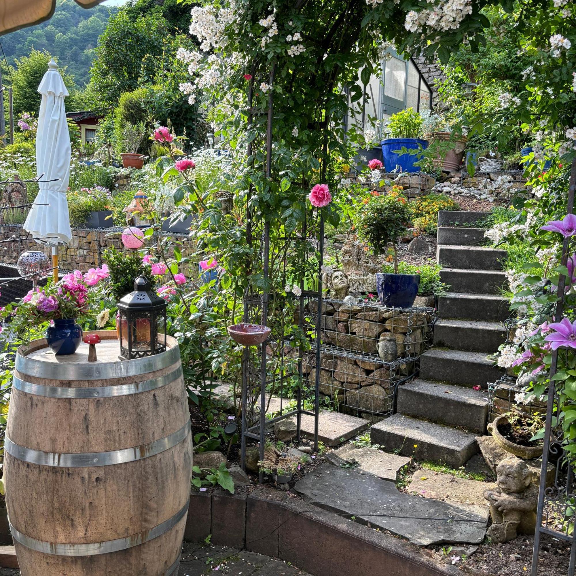 Ferienwohnung Im Morgenbachtal Trechtingshausen Exteriör bild