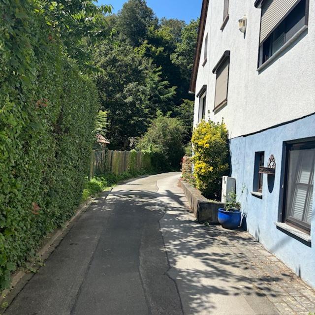 Ferienwohnung Im Morgenbachtal Trechtingshausen Exteriör bild