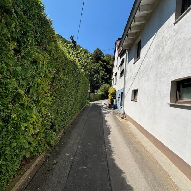 Ferienwohnung Im Morgenbachtal Trechtingshausen Exteriör bild